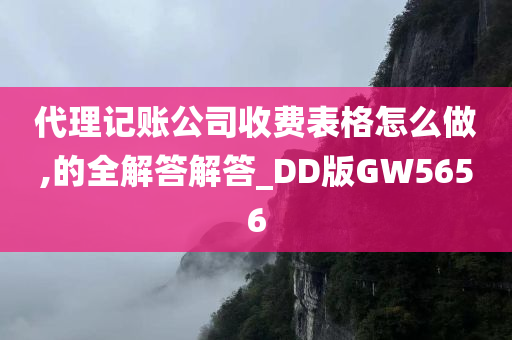 代理记账公司收费表格怎么做,的全解答解答_DD版GW5656