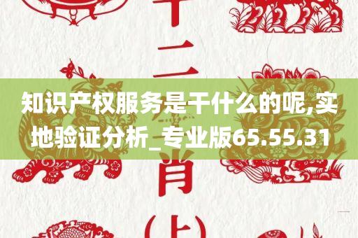 知识产权服务是干什么的呢,实地验证分析_专业版65.55.31