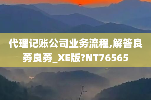 代理记账公司业务流程,解答良莠良莠_XE版?NT76565