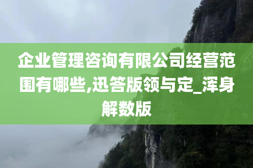 企业管理咨询有限公司经营范围有哪些,迅答版领与定_浑身解数版