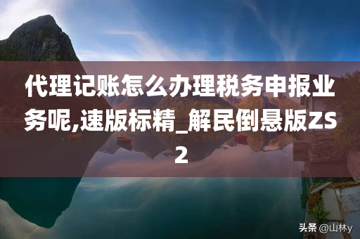 代理记账怎么办理税务申报业务呢,速版标精_解民倒悬版ZS2