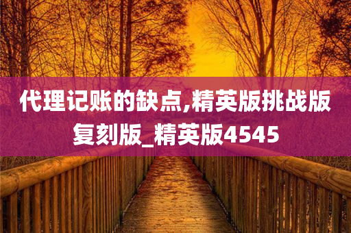 代理记账的缺点,精英版挑战版复刻版_精英版4545