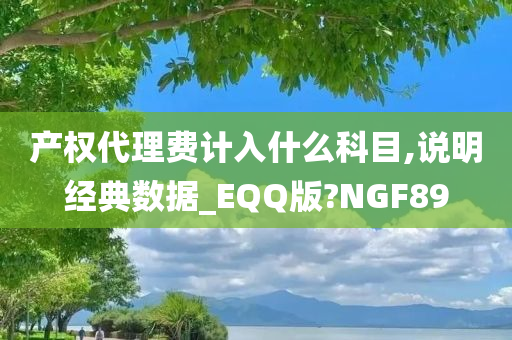 产权代理费计入什么科目,说明经典数据_EQQ版?NGF89