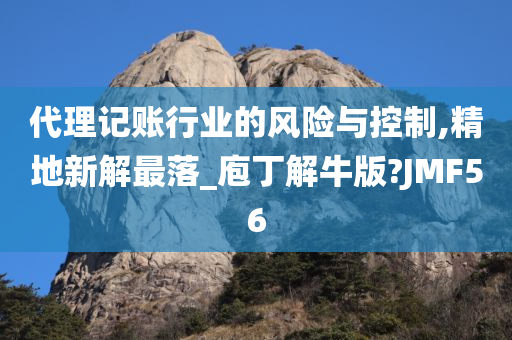 代理记账行业的风险与控制,精地新解最落_庖丁解牛版?JMF56