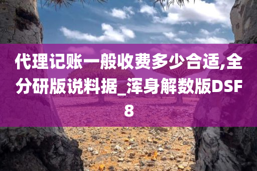 代理记账一般收费多少合适,全分研版说料据_浑身解数版DSF8