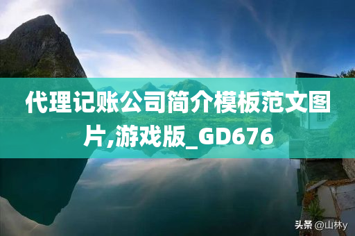 代理记账公司简介模板范文图片,游戏版_GD676