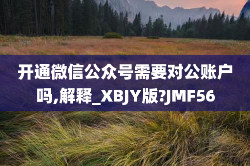 开通微信公众号需要对公账户吗,解释_XBJY版?JMF56