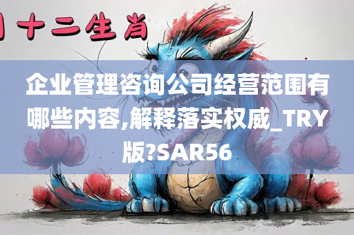 企业管理咨询公司经营范围有哪些内容,解释落实权威_TRY版?SAR56