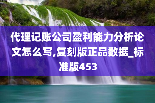 代理记账公司盈利能力分析论文怎么写,复刻版正品数据_标准版453