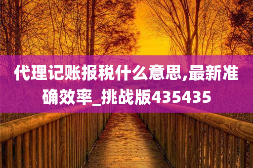 代理记账报税什么意思,最新准确效率_挑战版435435