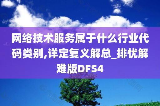 网络技术服务属于什么行业代码类别,详定复义解总_排忧解难版DFS4