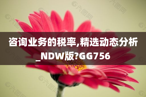 咨询业务的税率,精选动态分析_NDW版?GG756