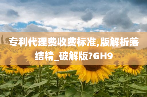 专利代理费收费标准,版解析落结精_破解版?GH9