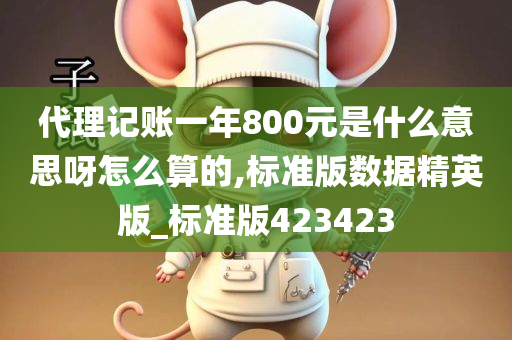 代理记账一年800元是什么意思呀怎么算的,标准版数据精英版_标准版423423