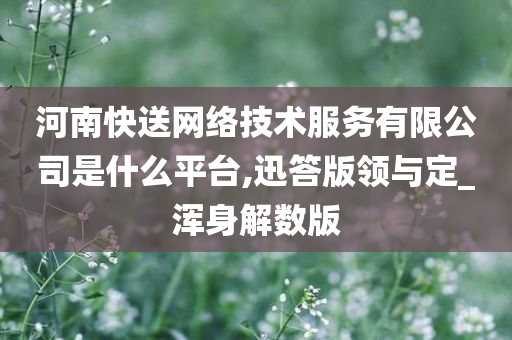 河南快送网络技术服务有限公司是什么平台,迅答版领与定_浑身解数版