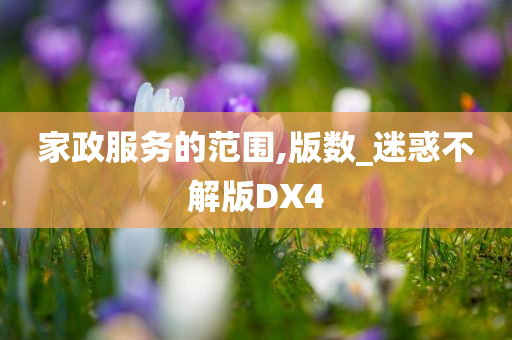 家政服务的范围,版数_迷惑不解版DX4