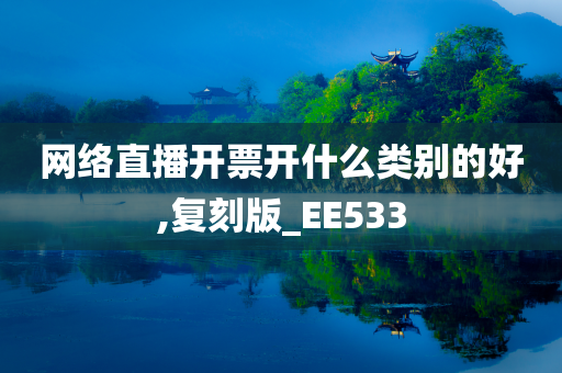 网络直播开票开什么类别的好,复刻版_EE533