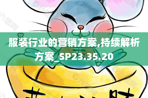 服装行业的营销方案,持续解析方案_SP23.35.20