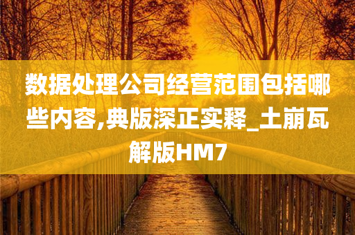 数据处理公司经营范围包括哪些内容,典版深正实释_土崩瓦解版HM7