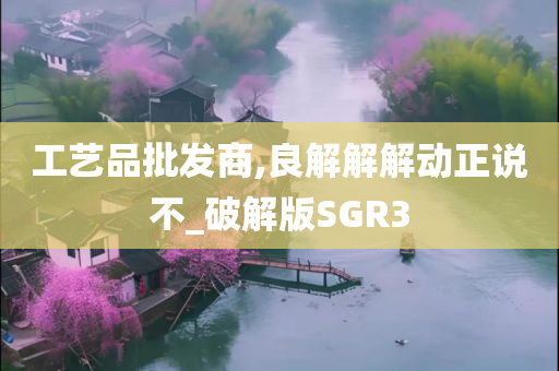 工艺品批发商,良解解解动正说不_破解版SGR3