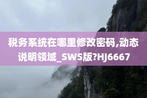 税务系统在哪里修改密码,动态说明领域_SWS版?HJ6667