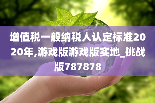 增值税一般纳税人认定标准2020年,游戏版游戏版实地_挑战版787878