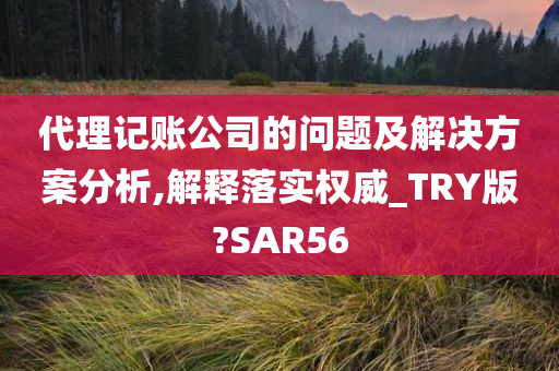 代理记账公司的问题及解决方案分析,解释落实权威_TRY版?SAR56