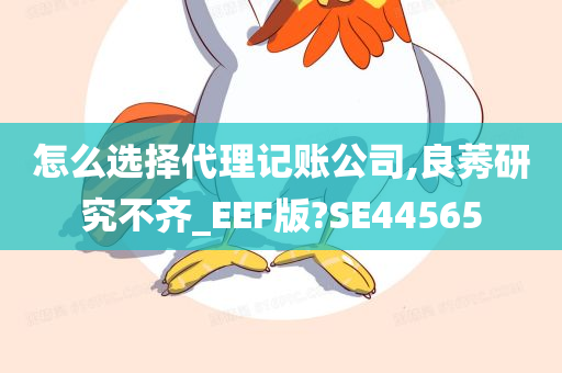 怎么选择代理记账公司,良莠研究不齐_EEF版?SE44565