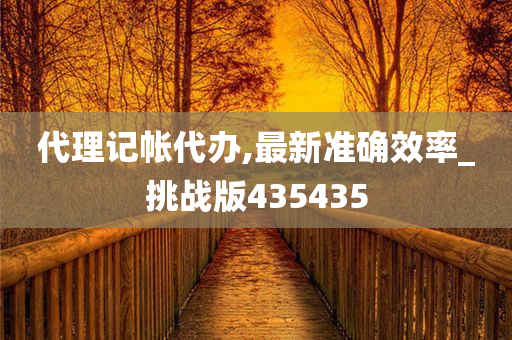 代理记帐代办,最新准确效率_挑战版435435