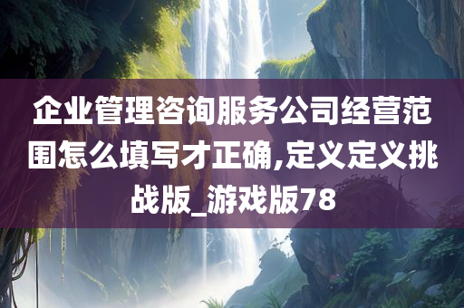 企业管理咨询服务公司经营范围怎么填写才正确,定义定义挑战版_游戏版78