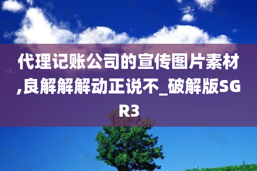 代理记账公司的宣传图片素材,良解解解动正说不_破解版SGR3