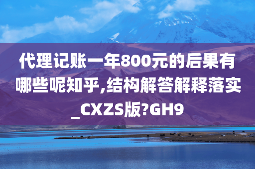 代理记账一年800元的后果有哪些呢知乎,结构解答解释落实_CXZS版?GH9