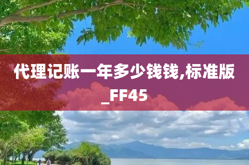 代理记账一年多少钱钱,标准版_FF45