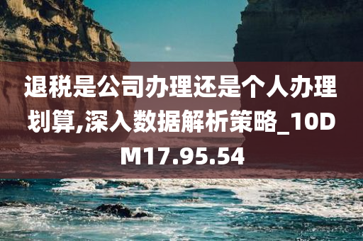 退税是公司办理还是个人办理划算,深入数据解析策略_10DM17.95.54