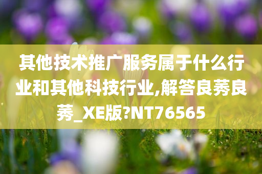 其他技术推广服务属于什么行业和其他科技行业,解答良莠良莠_XE版?NT76565