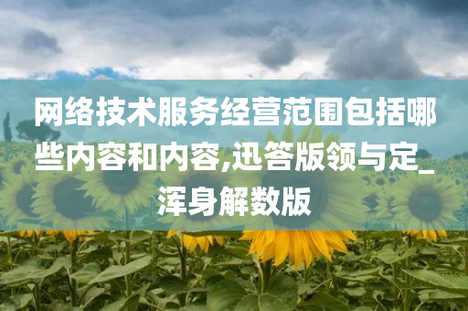 网络技术服务经营范围包括哪些内容和内容,迅答版领与定_浑身解数版