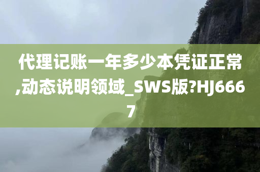 代理记账一年多少本凭证正常,动态说明领域_SWS版?HJ6667