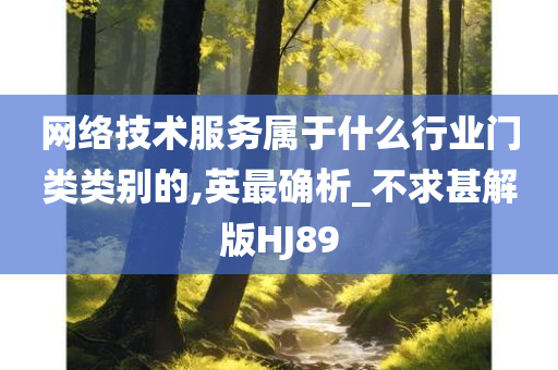 网络技术服务属于什么行业门类类别的,英最确析_不求甚解版HJ89