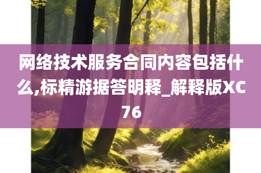 网络技术服务合同内容包括什么,标精游据答明释_解释版XC76