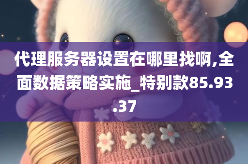 代理服务器设置在哪里找啊,全面数据策略实施_特别款85.93.37