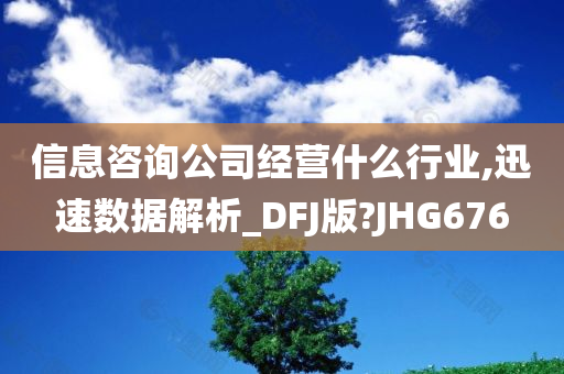 信息咨询公司经营什么行业,迅速数据解析_DFJ版?JHG676