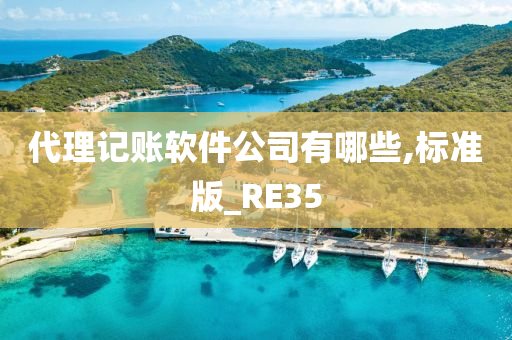 代理记账软件公司有哪些,标准版_RE35