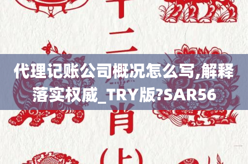 代理记账公司概况怎么写,解释落实权威_TRY版?SAR56