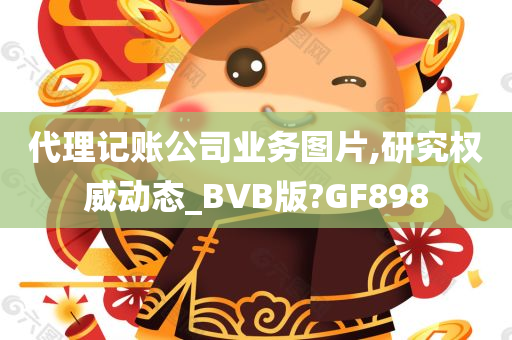 代理记账公司业务图片,研究权威动态_BVB版?GF898