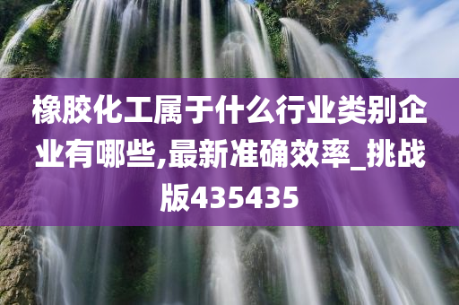 橡胶化工属于什么行业类别企业有哪些,最新准确效率_挑战版435435