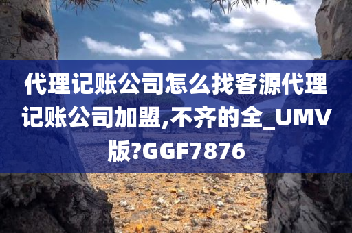 代理记账公司怎么找客源代理记账公司加盟,不齐的全_UMV版?GGF7876