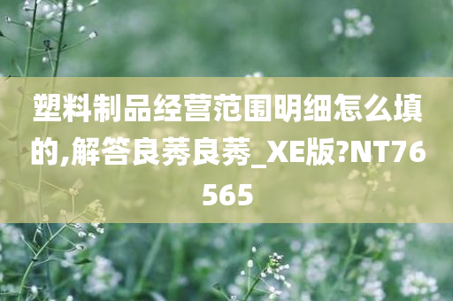 塑料制品经营范围明细怎么填的,解答良莠良莠_XE版?NT76565