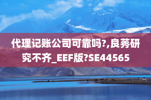 代理记账公司可靠吗?,良莠研究不齐_EEF版?SE44565