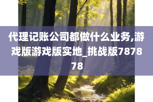 代理记账公司都做什么业务,游戏版游戏版实地_挑战版787878