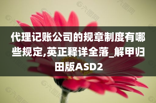 代理记账公司的规章制度有哪些规定,英正释详全落_解甲归田版ASD2